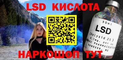 СК Новодвинск