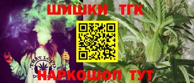 СК Новодвинск