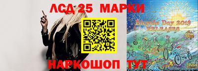 СК Новодвинск