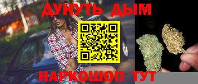 ГАЛЛЮЦИНОГЕННЫЕ ГРИБЫ Новозыбков