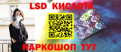 СК Новодвинск