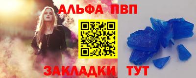 СК Новодвинск